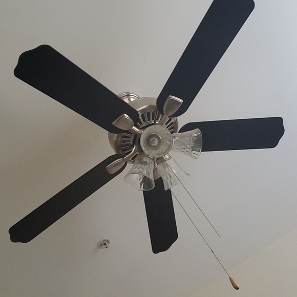 Ceiling Fan - Picture 1 of 1